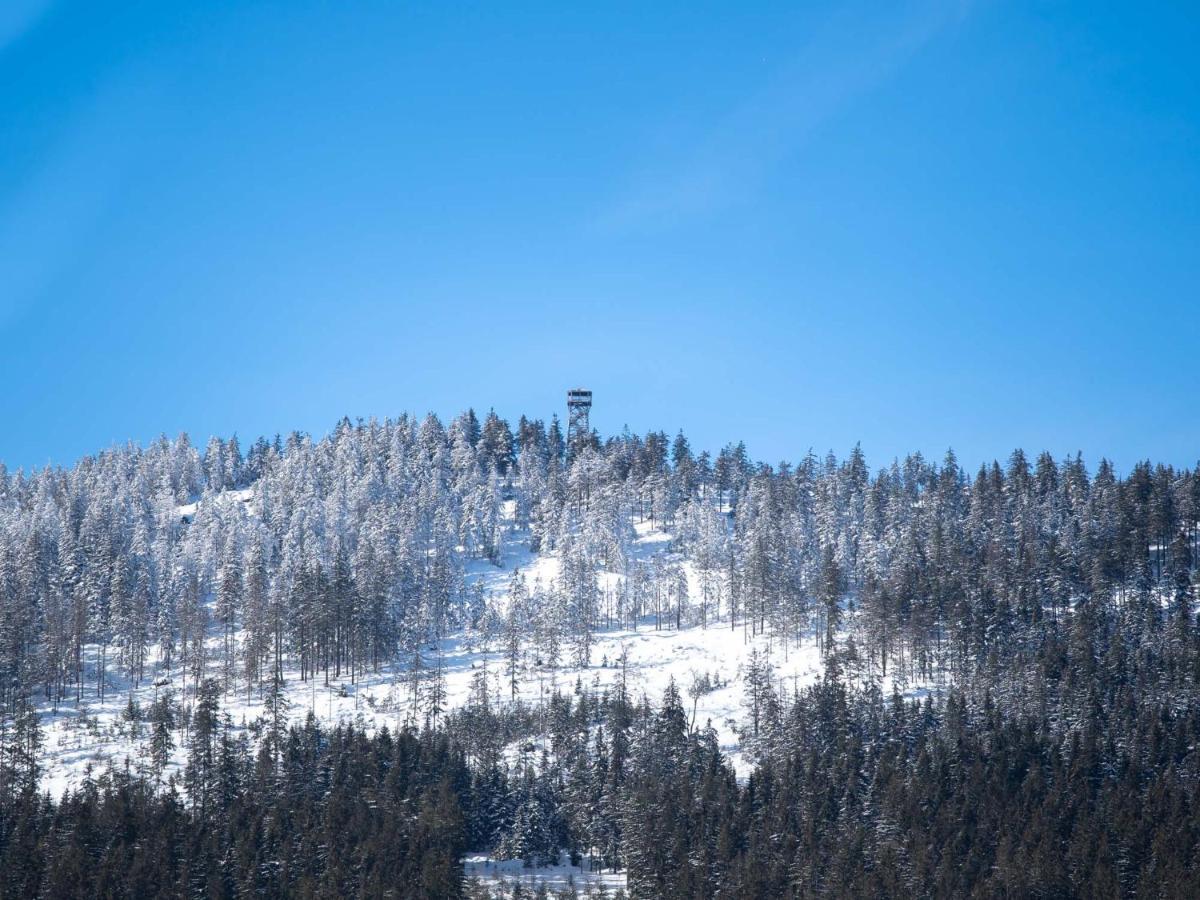 Готель Treehous Sneznik S Wellness Долні-Морава Екстер'єр фото
